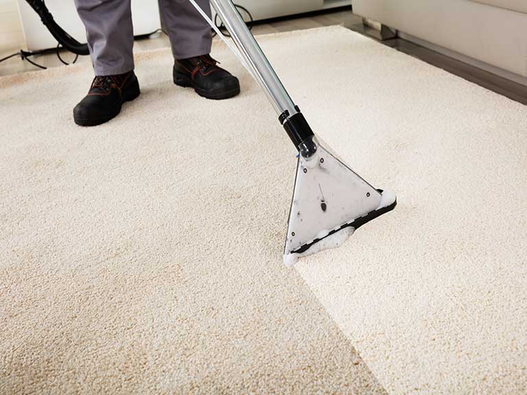 commercial carpet cleaning mount casa grande az