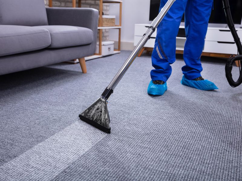 carpet cleaninig chandler az